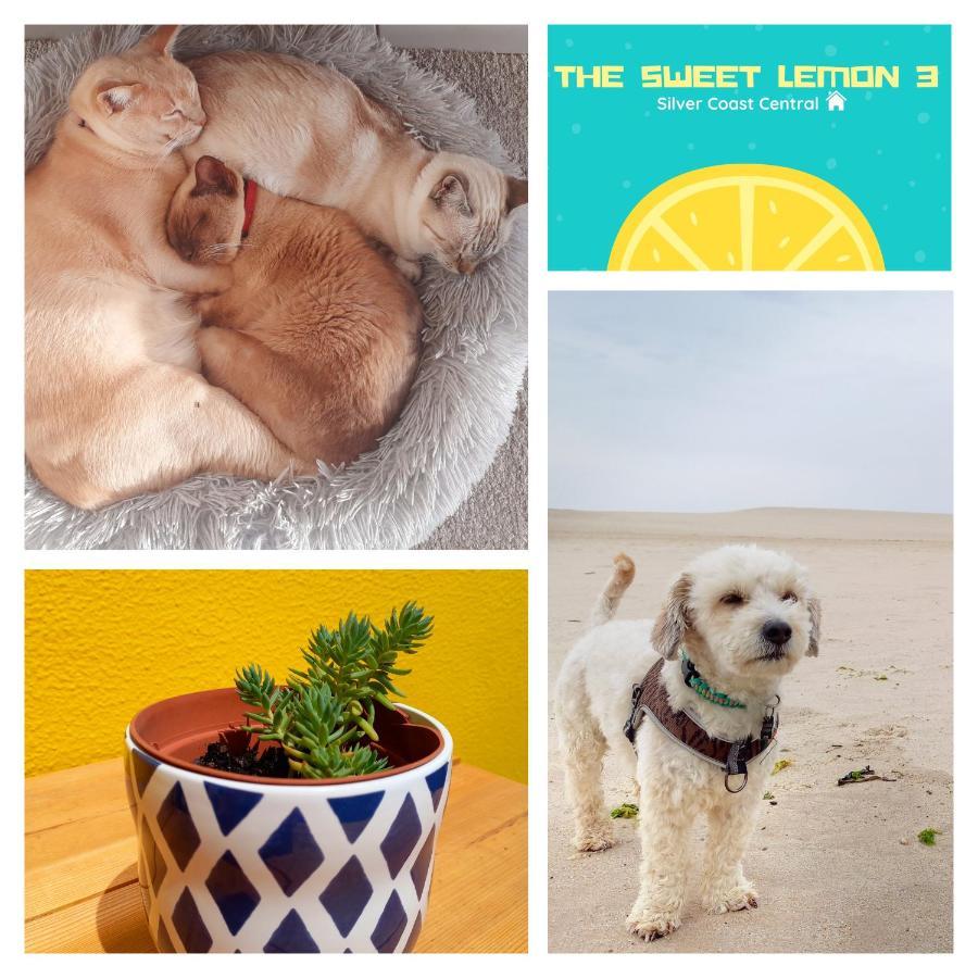 Appartamento The Sweet Lemon 3 Bombarral Esterno foto